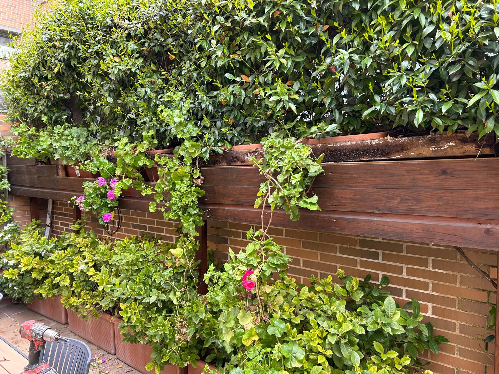 Jardinera de tarima.