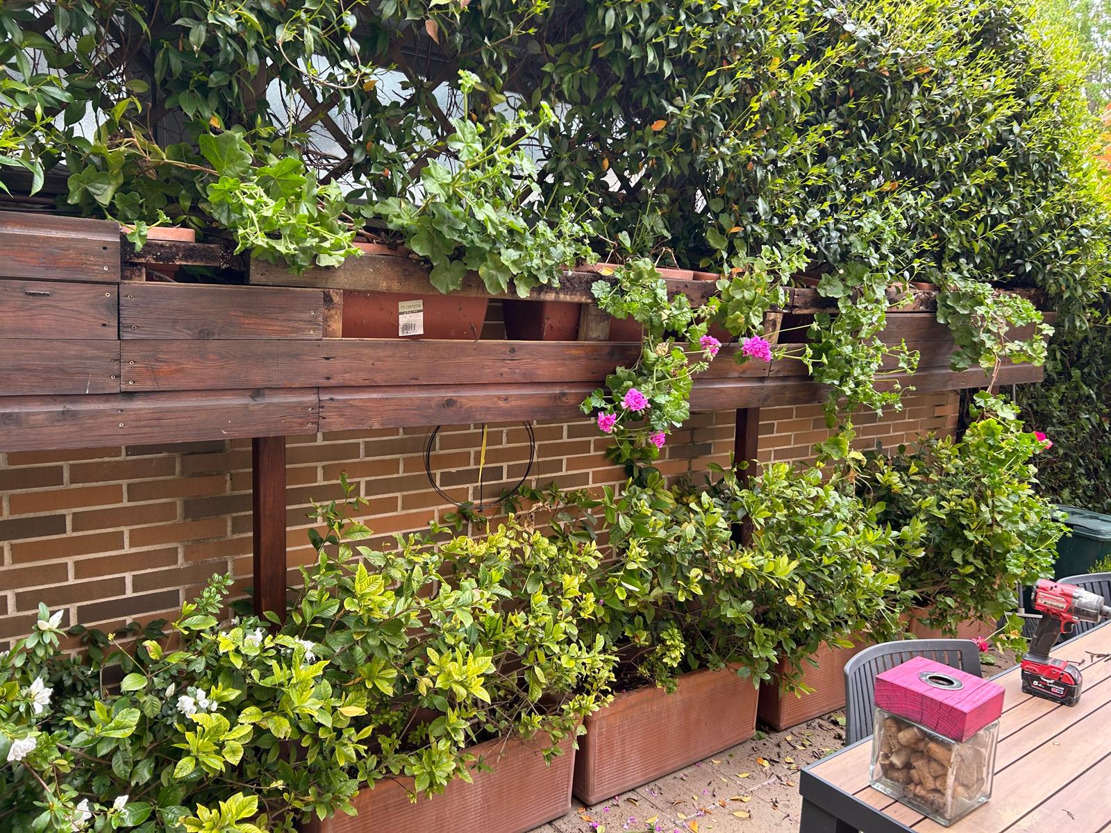 Jardinera de tarima.